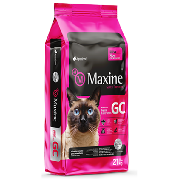 Maxine Gato Castrado